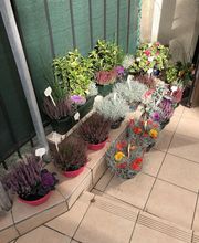 Floral'Is E.I. image 12