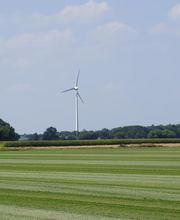 Rollrasen - Henning Hagedorn Bild 4