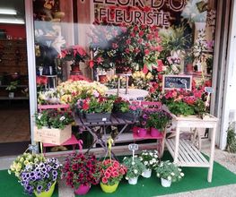 Fleur D'ô image 12