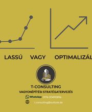 T-Consulting Bild 4