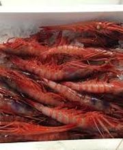 MARISCO PEINADO S.L. imagen 5