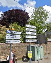 Ribot Laurence image 3