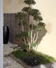 AlexJardin image 5