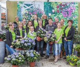 Blumen Seil Bild 4