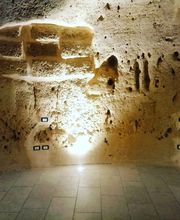 ELLEVI GROUP immagine 8