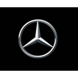 Daimler Truck AG - Teile und Zubehör logo
