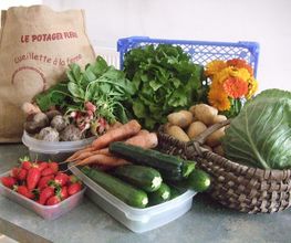 Du Potager Fleuri GAEC image 7