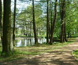 Die Wege im Schlosspark sind sehr gut begehbar.