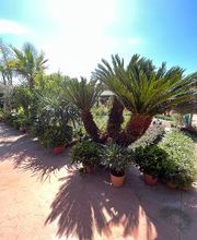 Villaverde Grimaud image 16