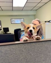 Crossfield Heating & Air Conditioning image 8