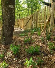 PIQUETS LACOUVE image 3