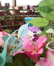 Gamm Vert - Mur de barrez image 3