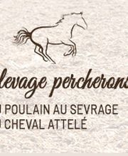 Renaudie Mireille image 2