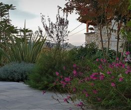 Paysage Services image 2