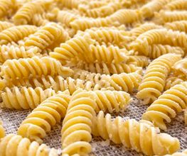 Pasta3 GmbH Bild 1