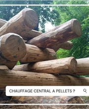 Estoppey Patrick Bild 10