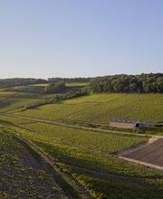 Domaine Gautheron Alain Et Cyril SCEV image 1