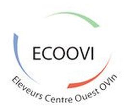 Ecoovi image 2