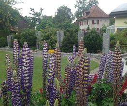HELD Gartenpflege AG Bild 7