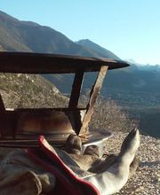 Ramonage Seb Cosson image 2