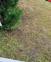 Schäfer Haus- und Gartenservice Bild 9