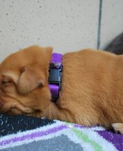 Tanja Wiedenmann Bild 20