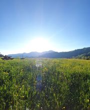 Restaurant Alp Altschwand Bild 3