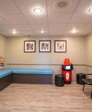 Farmer Pediatric Dentistry of London, PSC image 6