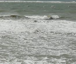 Beau Rivage image 13