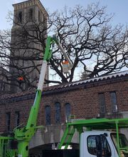 SavATree - Tree Service & Lawn Care image 20