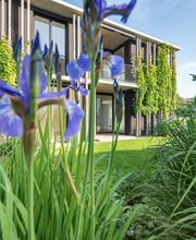 Kottmann-Kohler Gartenbau AG Bild 4