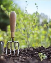 Jardipaysage image 2