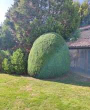 Les Touches Vertes image 18