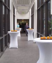 Bio-Gründer Wettbewerb Bild 4