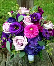 Broad Brook Gardens image 9