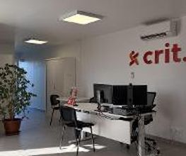 CRIT MARMANDE image 5
