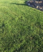 Star Hydroseeding image 4