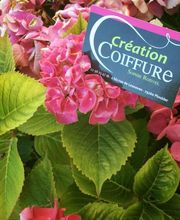 Création Coiffure image 1