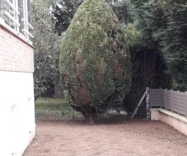 Presta Jardins image 4