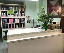 Gallery Cliente