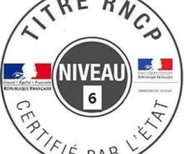 Iridologie image 2