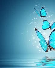 Mennetrier Emilie image 6