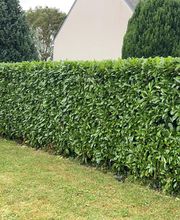 L.W.Espaceverts image 7