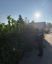 All Around Service Bild 15