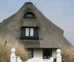 Haus Lazy Dolphin App 5 Bild 2