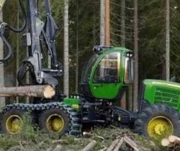 FORET D'ICI image 1