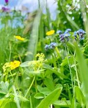 Marcel Leeb - Systemisches Coaching in freier Natur Bild 11