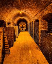 GRAPE EXPERIENCE image 13