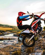 Gallery Professionale