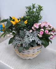 Secrets de Fleurs image 13